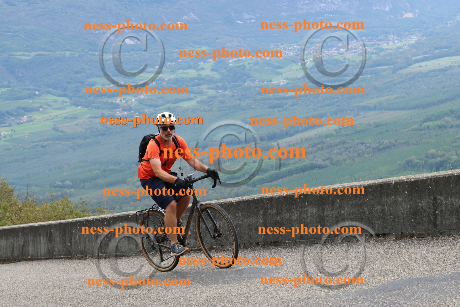 Col du Grand Colombier (988).JPG