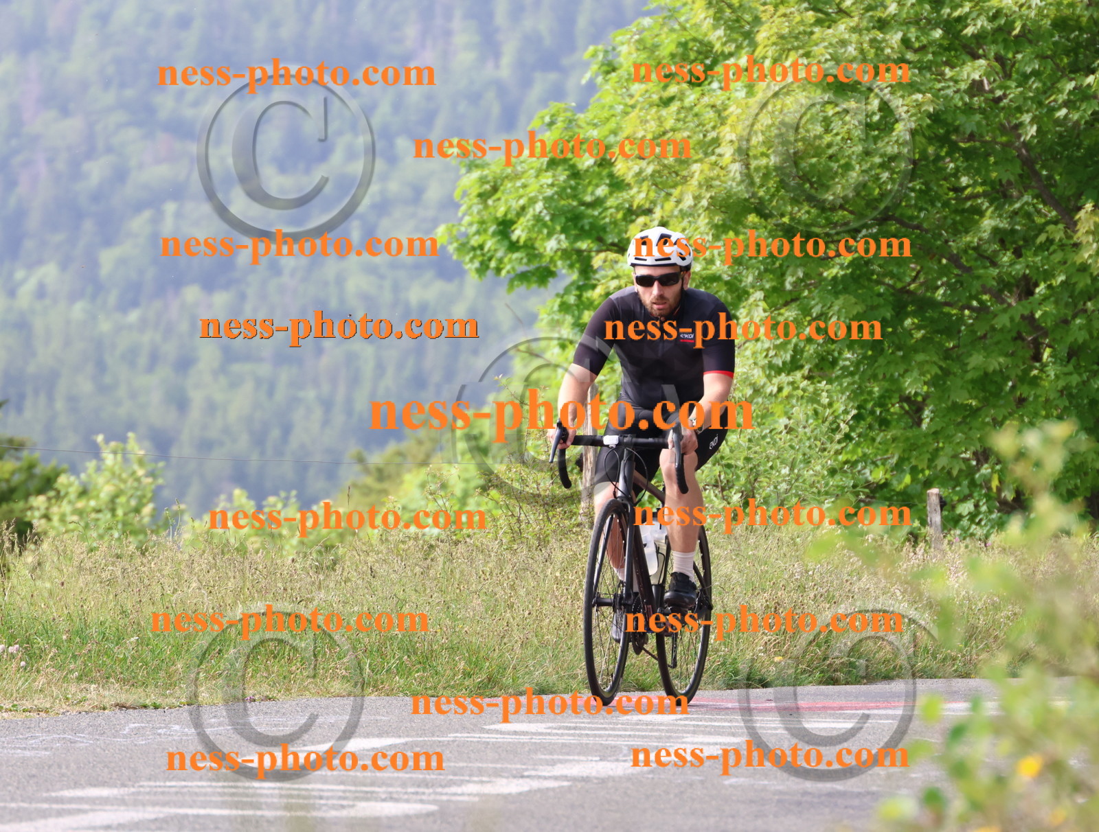 Col du grand Colombier (68).JPG