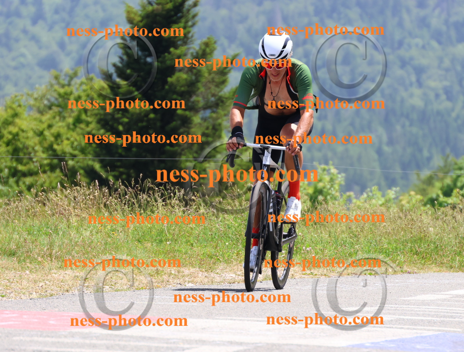 Col du grand Colombier (3193).JPG