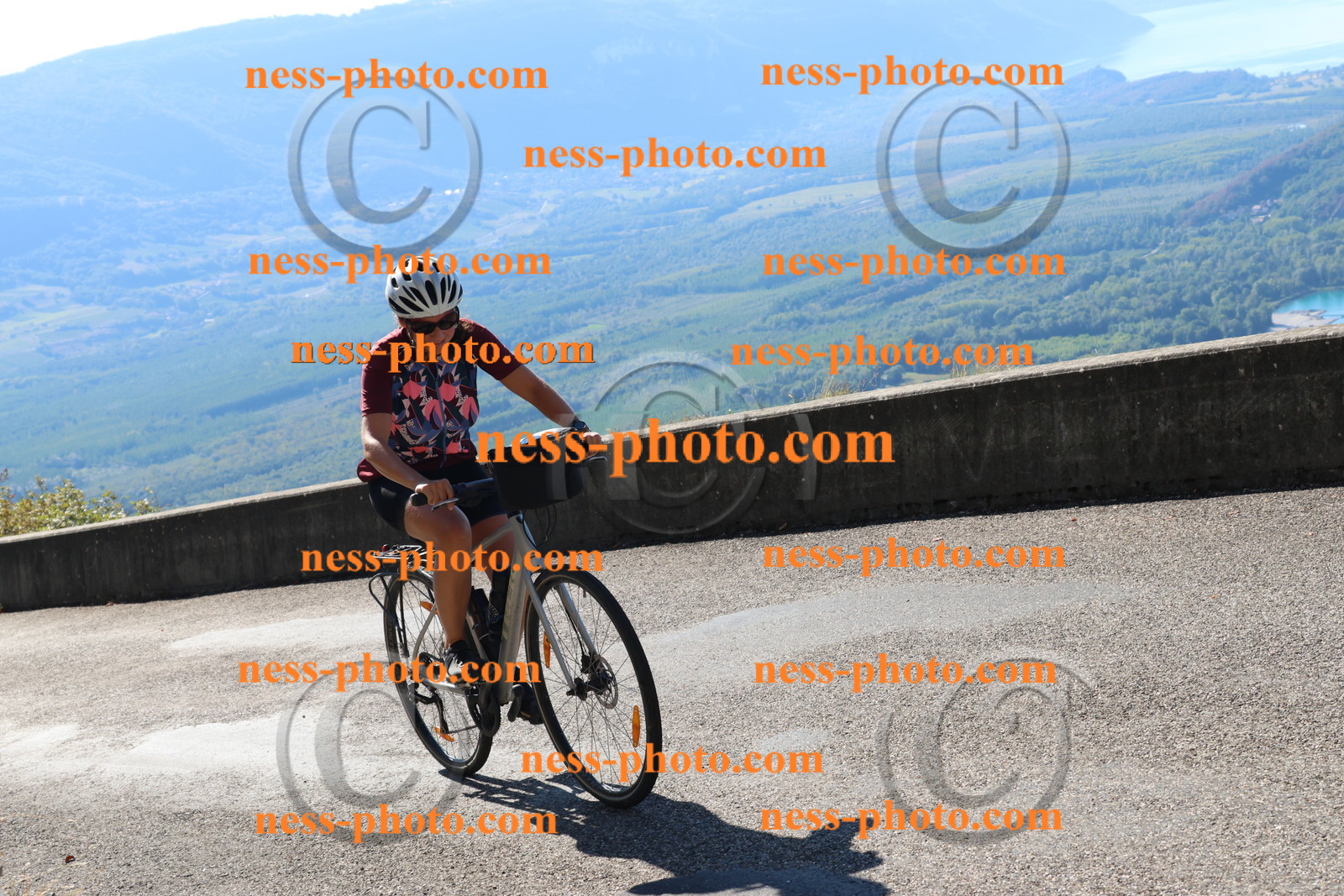 Col du Grand Colombier (60).JPG