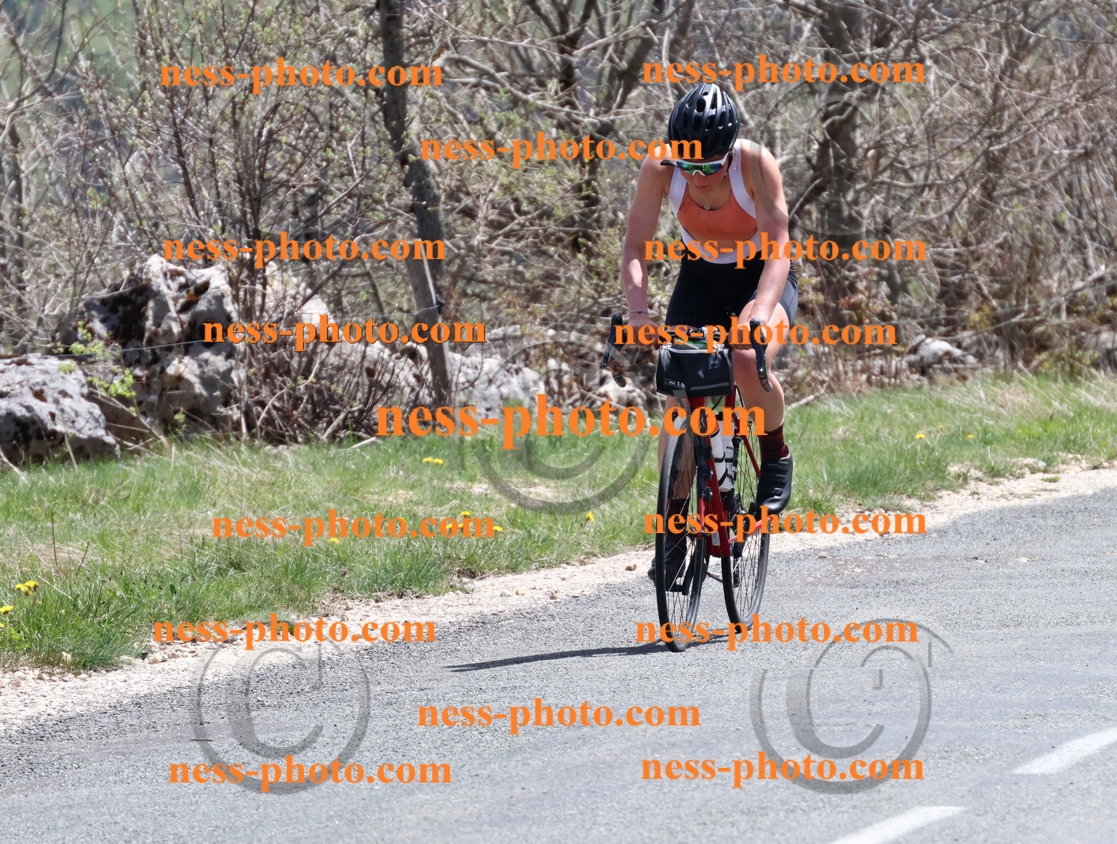 Col du Grand Colombier (832).JPG