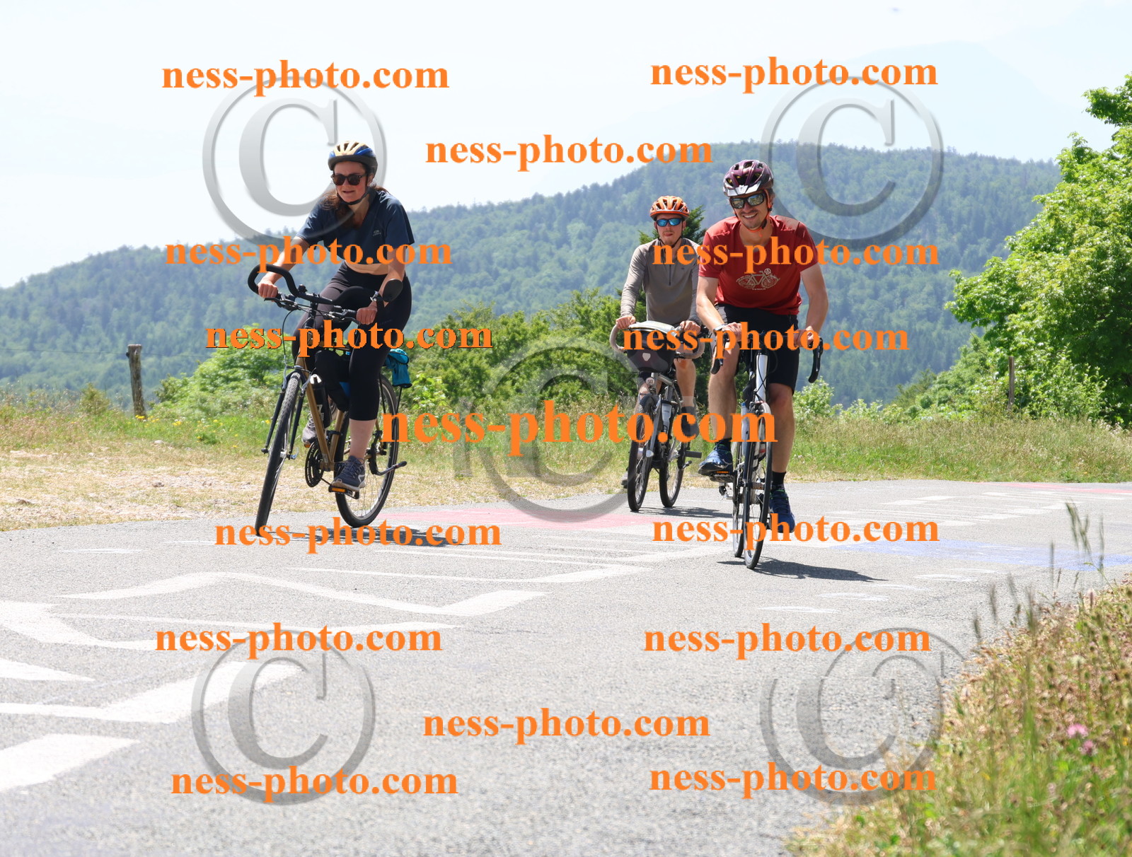 Col du grand Colombier (2622).JPG