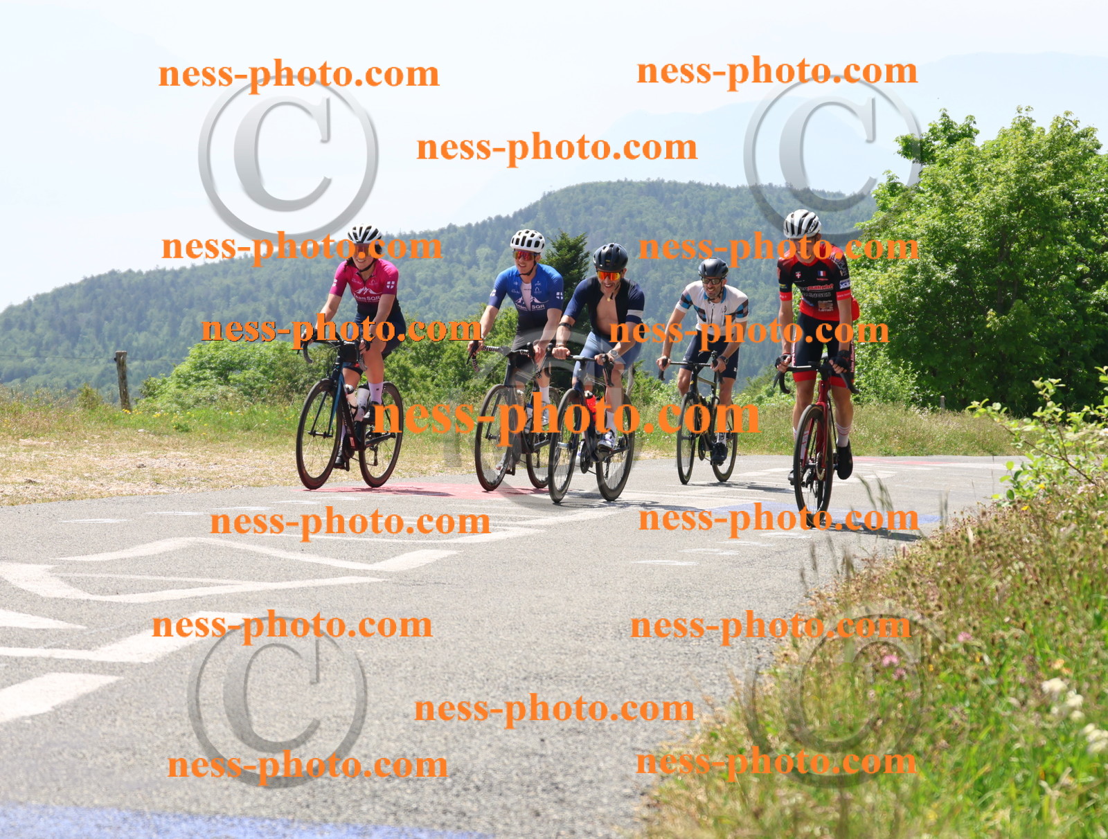 Col du grand Colombier (2420).JPG