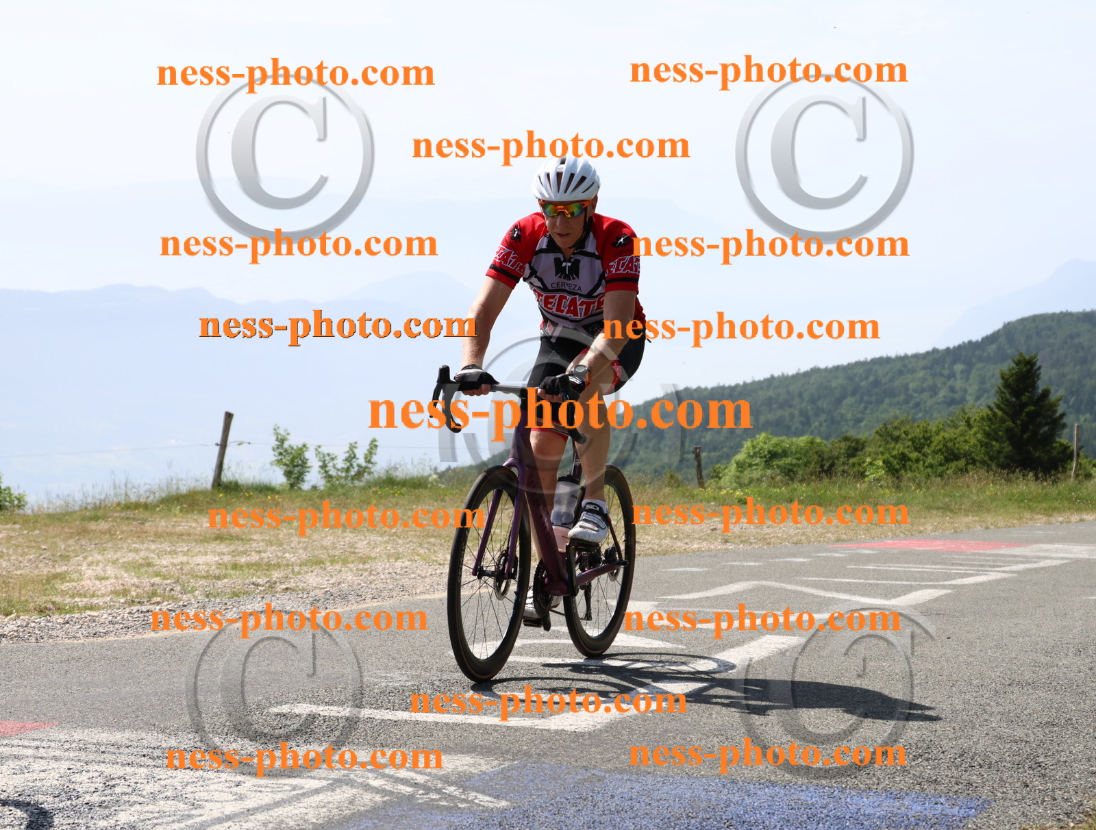 Col du grand Colombier (1233).JPG