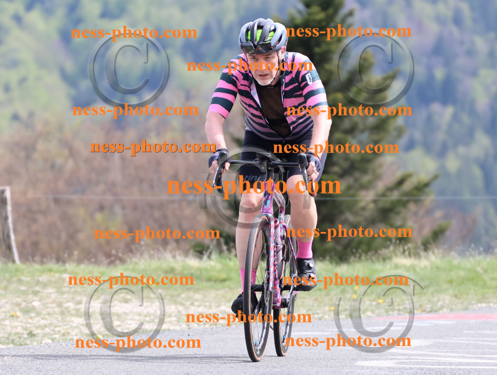 Col du Grand Colombier (1104).JPG