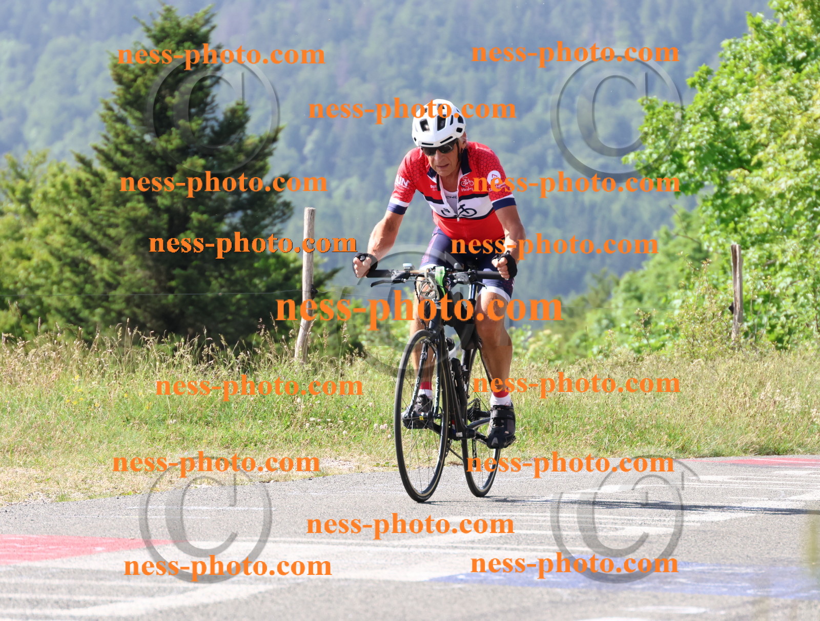 Col du grand Colombier (284).JPG