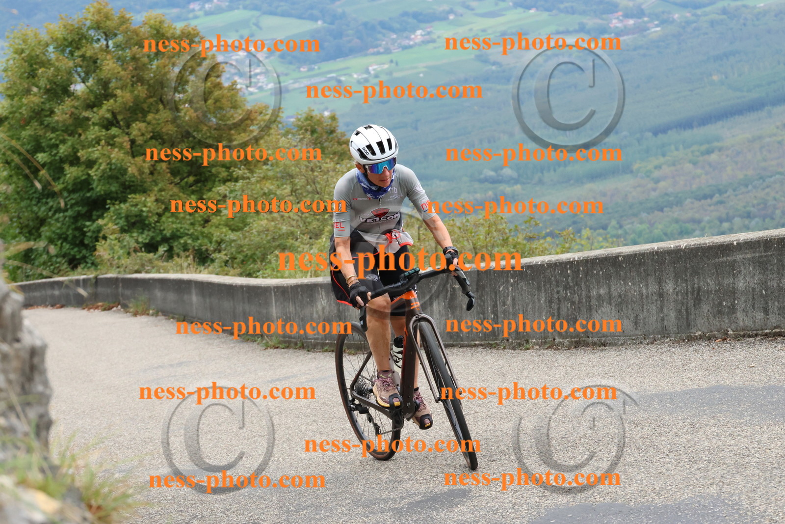 Col du Grand Colombier (2053).JPG