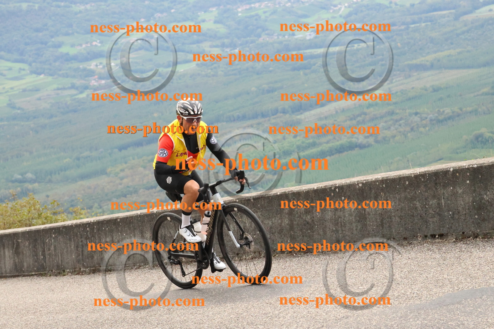 Col du Grand Colombier (39).JPG