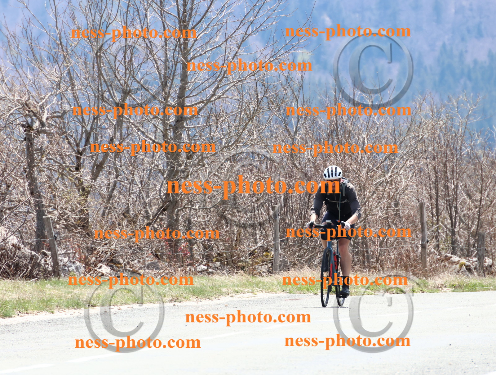 Col du Grand Colombier (324).JPG