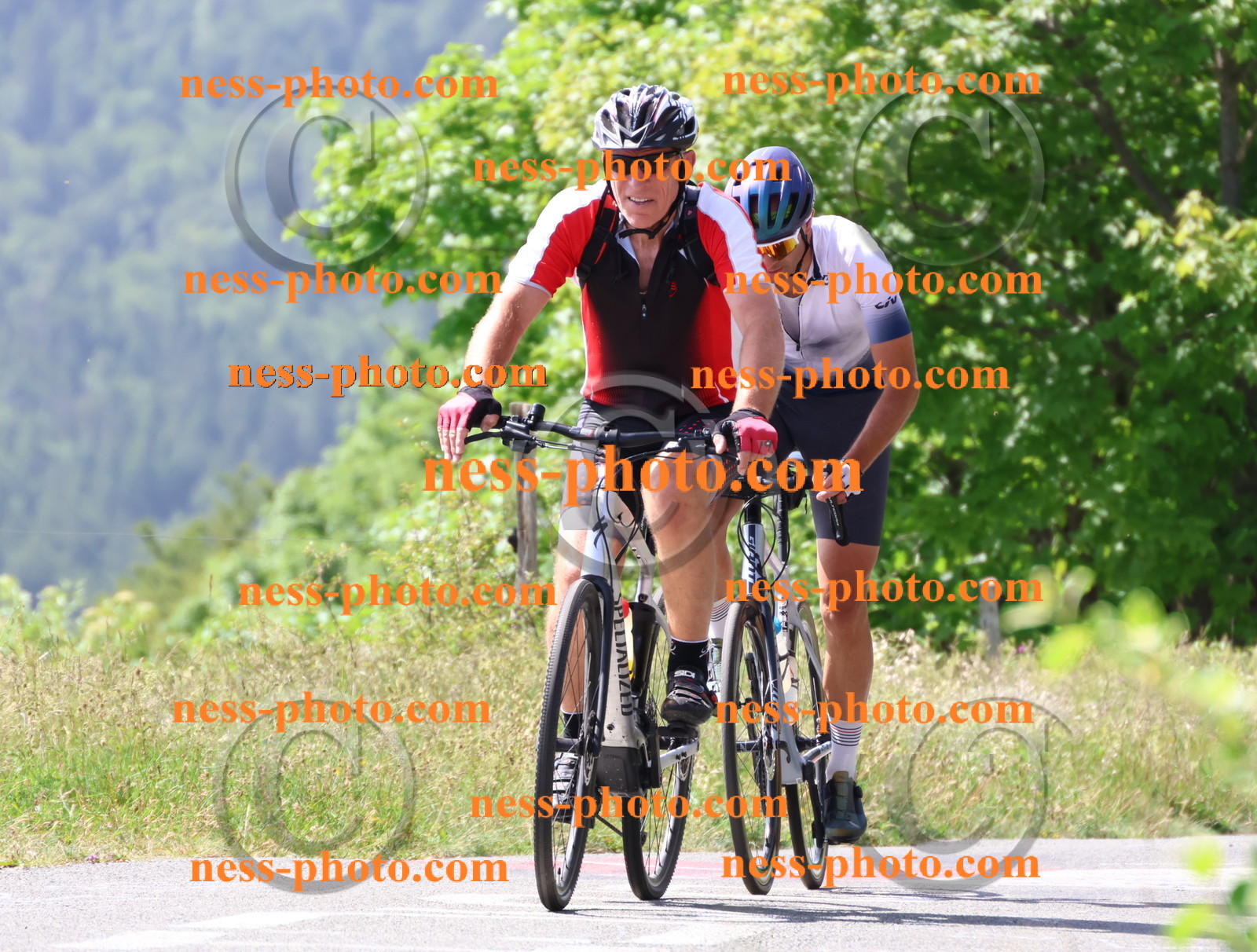 Col du grand Colombier (1350).JPG