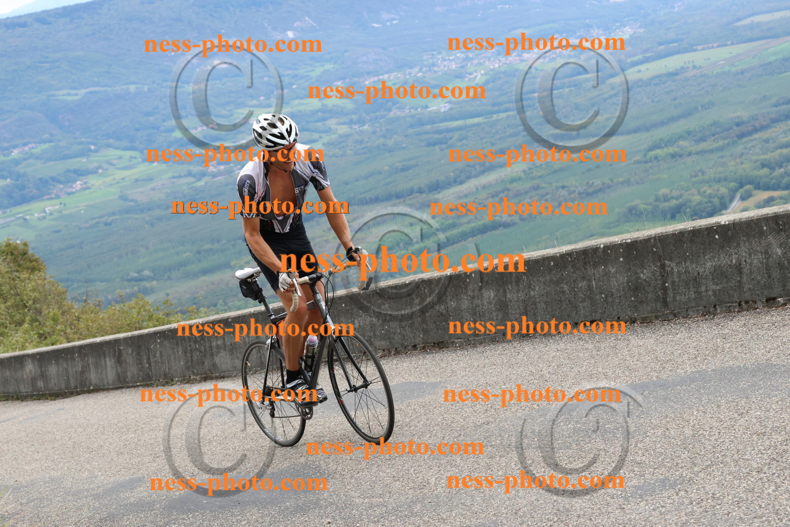 Col du Grand Colombier (2491).JPG