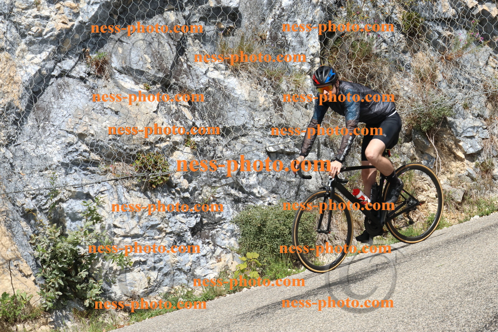 Col du Grand Colombier (675).JPG