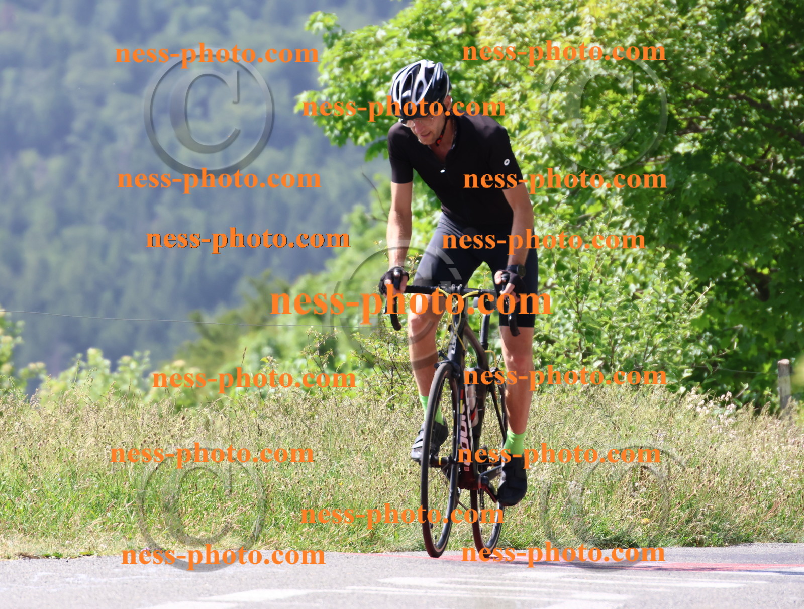 Col du grand Colombier (845).JPG