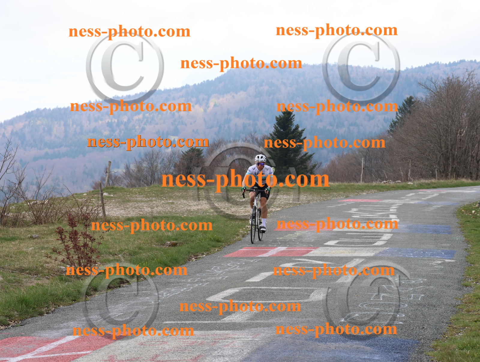 Col du Grand Colombier (145).JPG