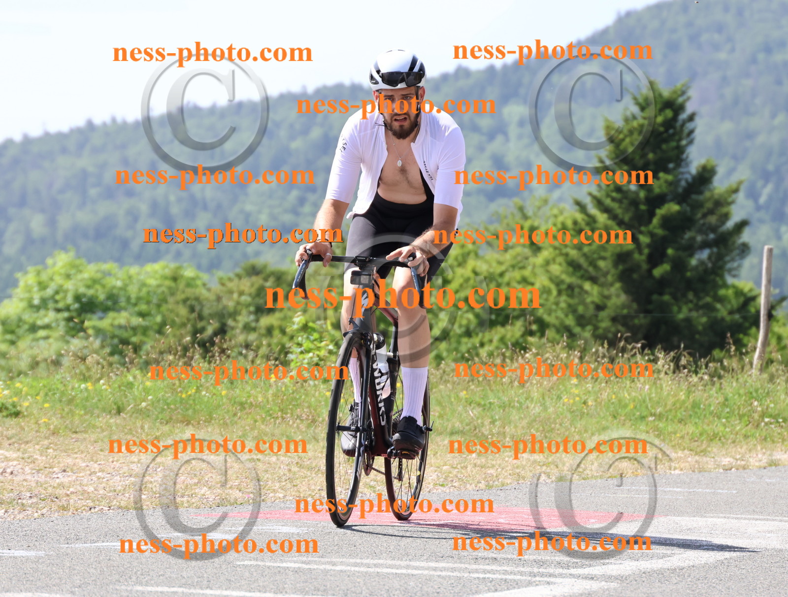 Col du grand Colombier (1076).JPG