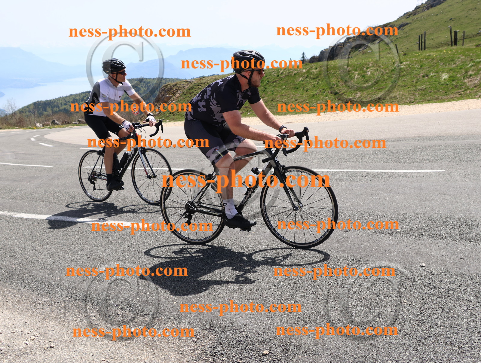 Col du Grand Colombier (804).JPG