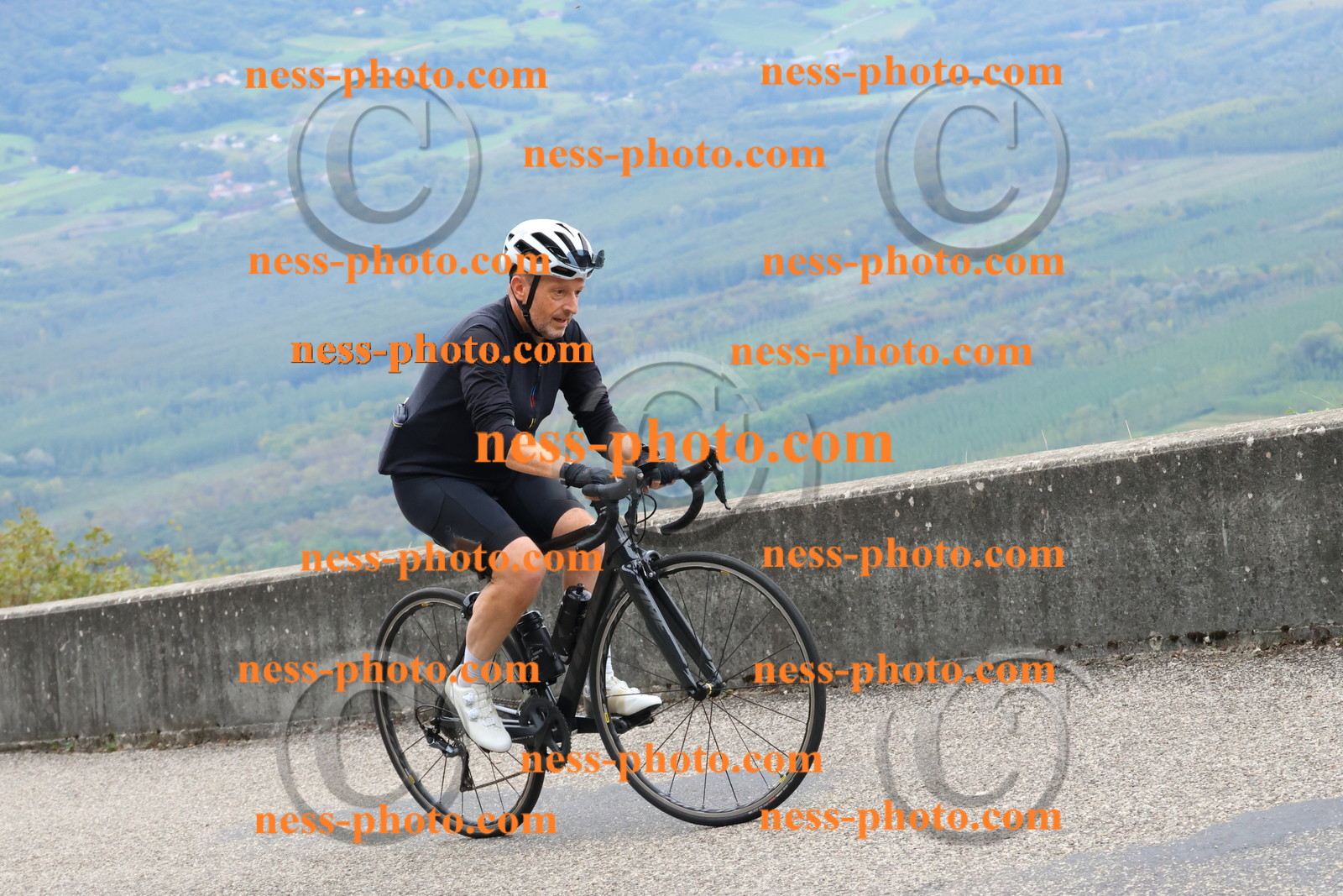 Col du Grand Colombier (1241).JPG