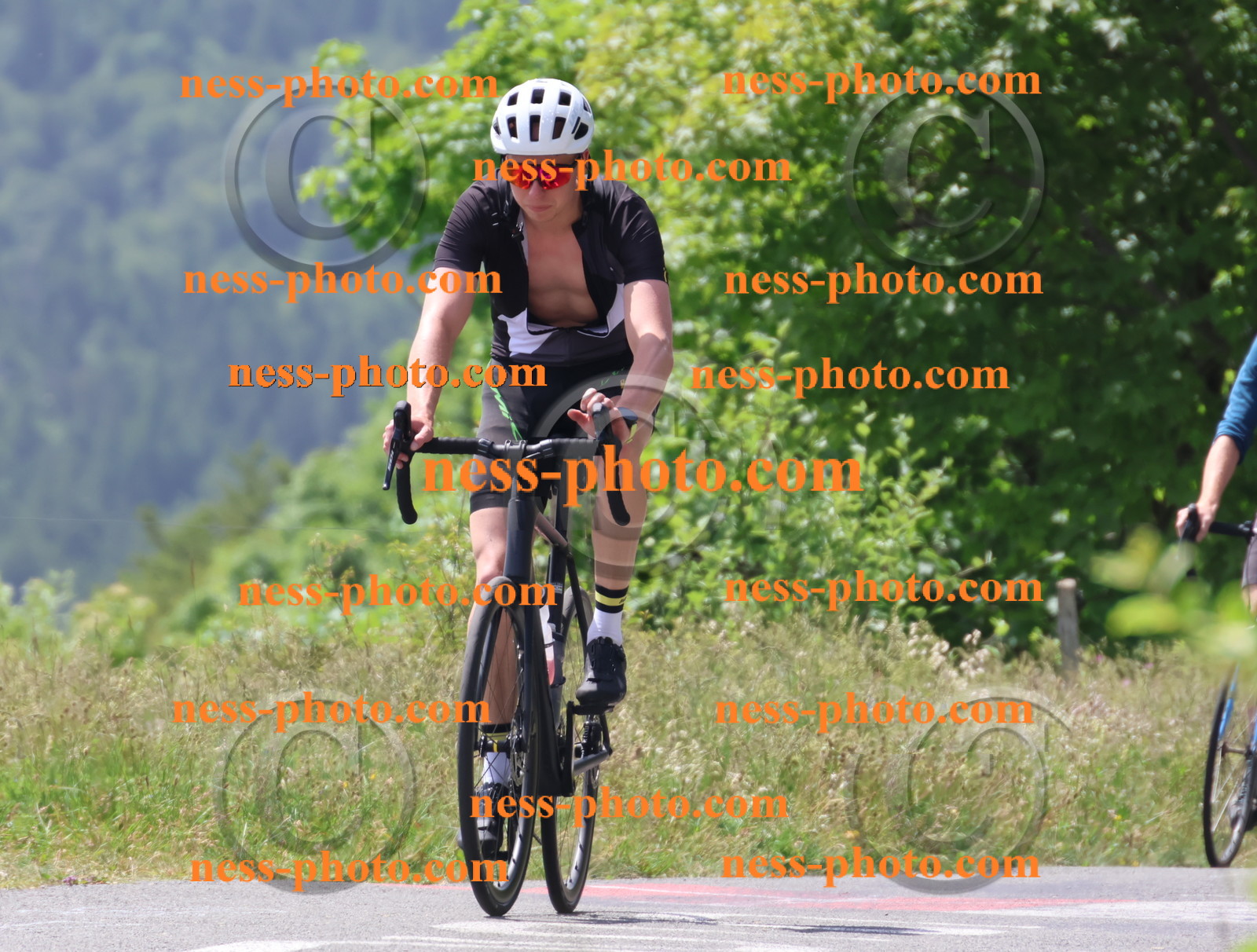 Col du grand Colombier (2195).JPG