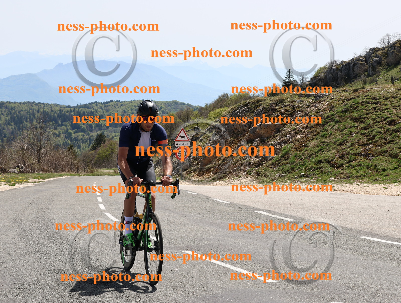 Col du Grand Colombier (816).JPG