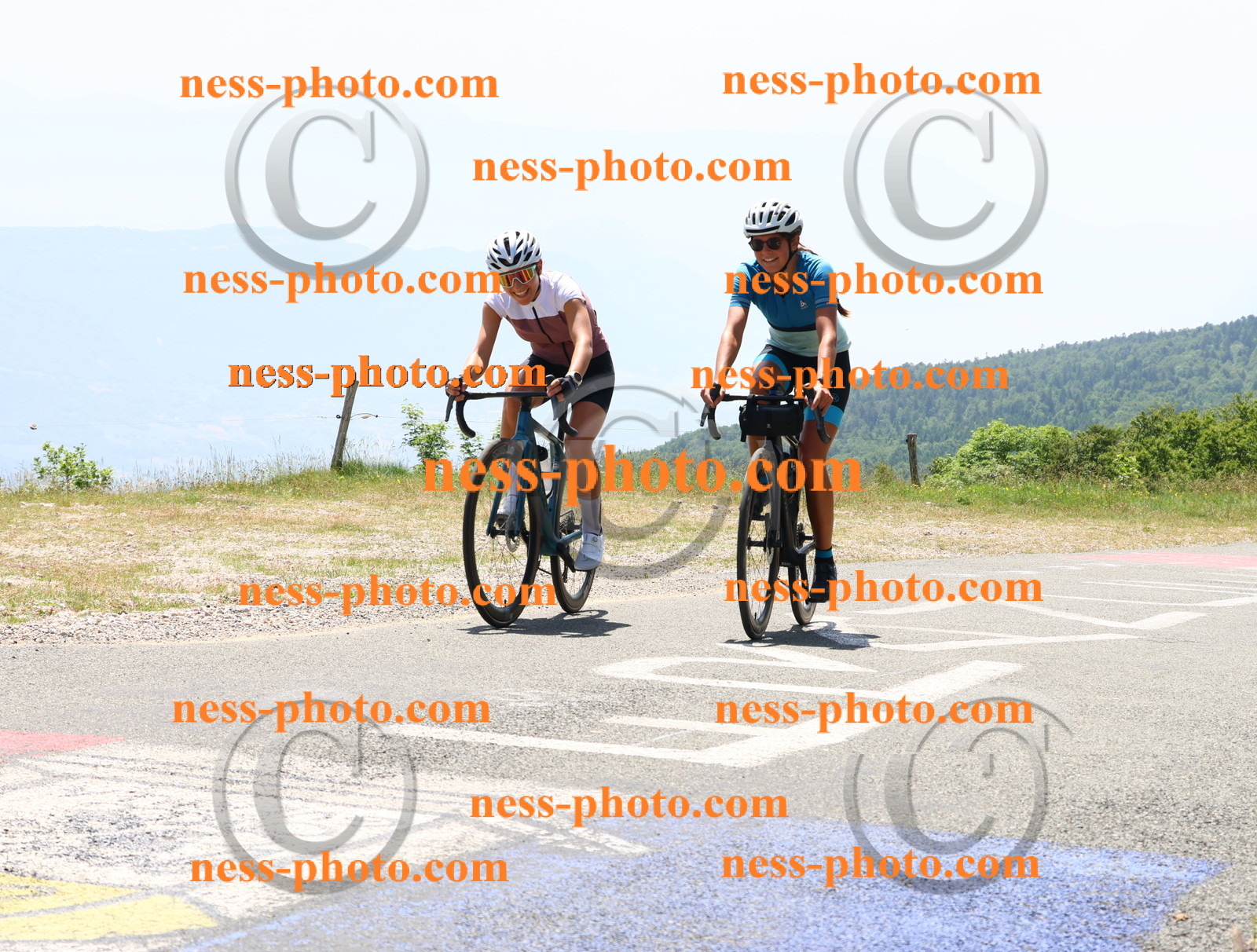 Col du grand Colombier (2697).JPG