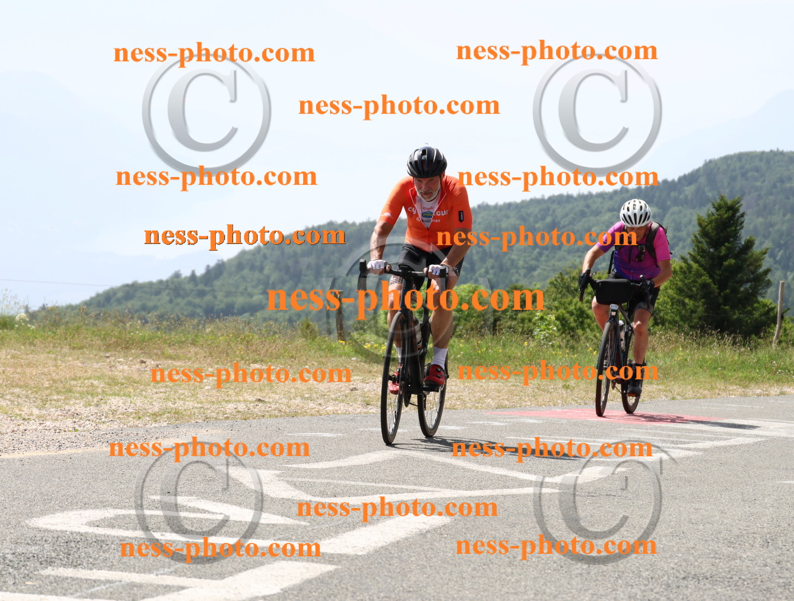 Col du grand Colombier (1685).JPG