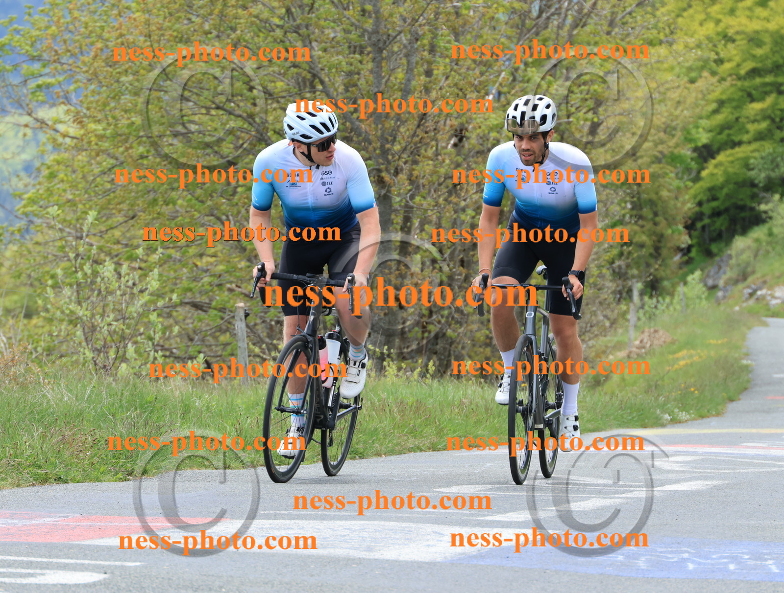 Col du Grand Colombier (470).JPG