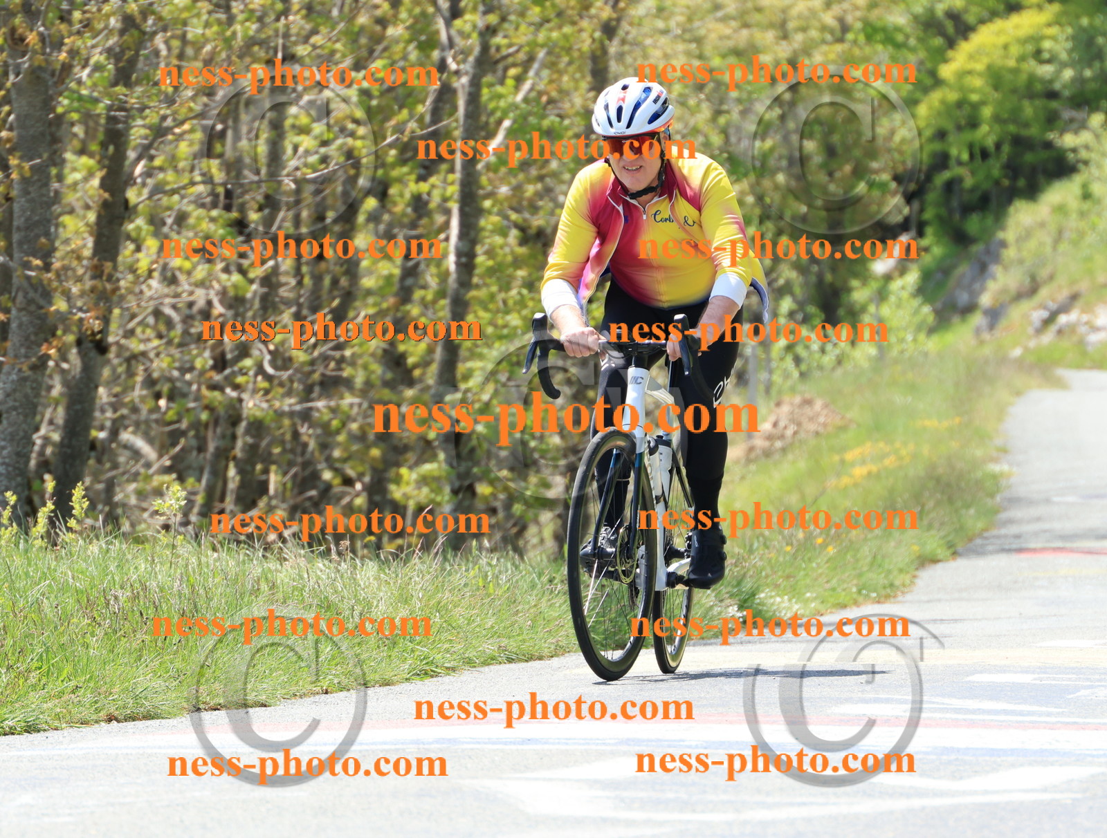 Col du Grand Colombier (217).JPG