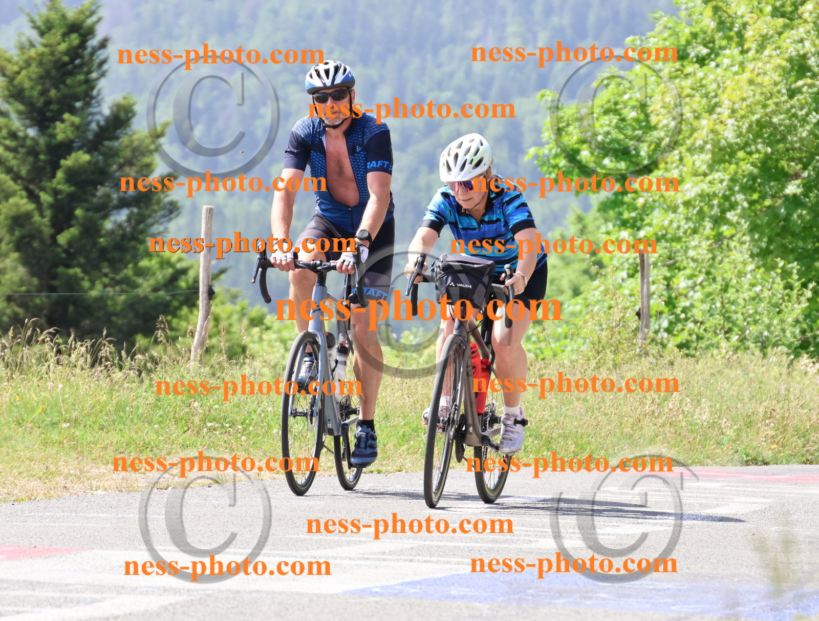 Col du grand Colombier (1241).JPG