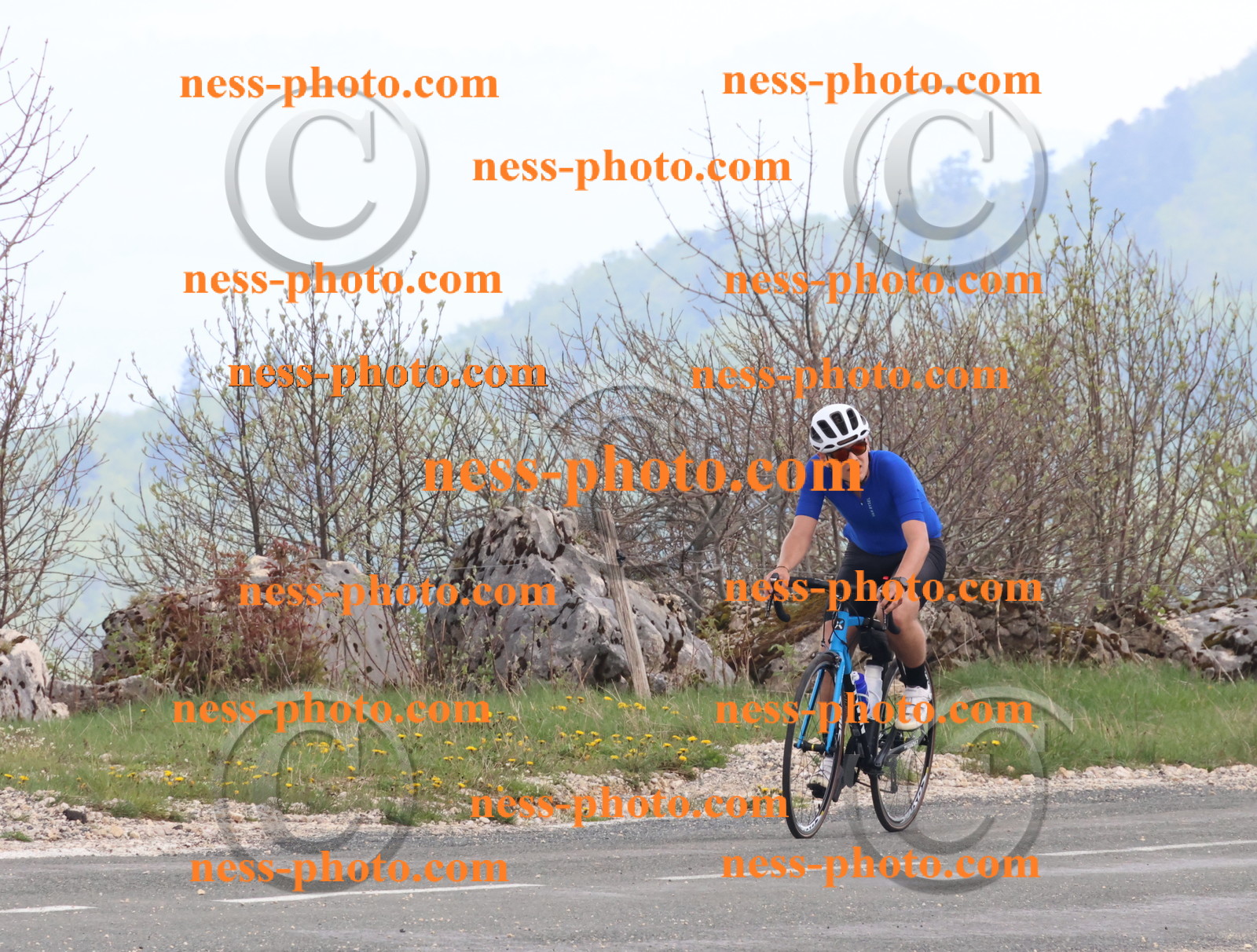 Col du Grand Colombier (248).JPG