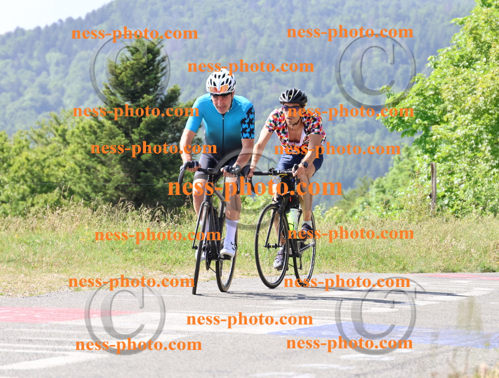 Col du grand Colombier (854).JPG