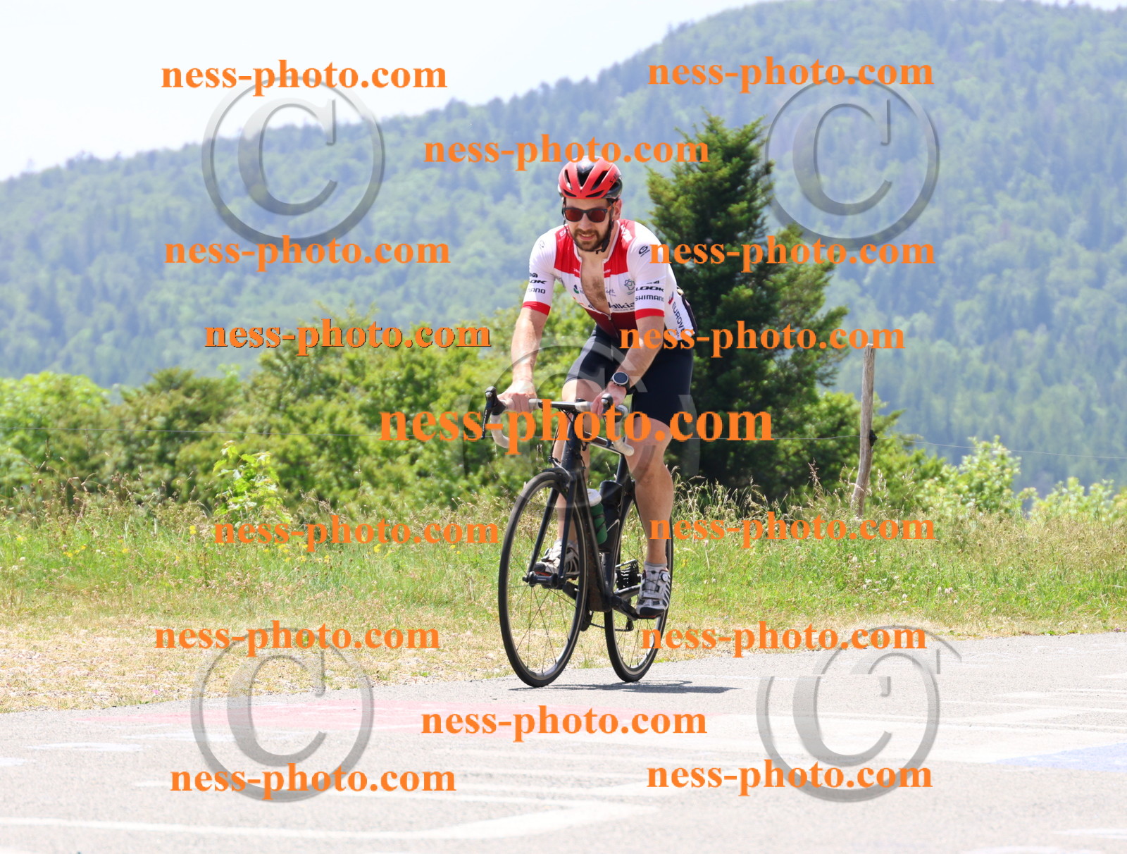 Col du grand Colombier (2745).JPG