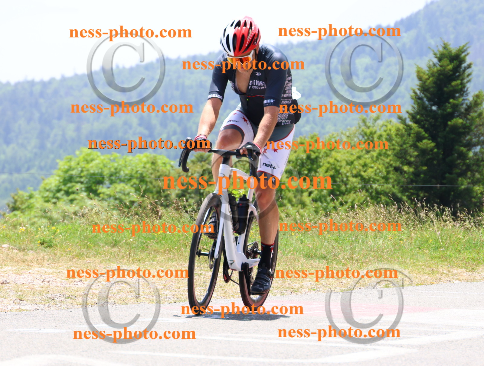 Col du grand Colombier (2943).JPG