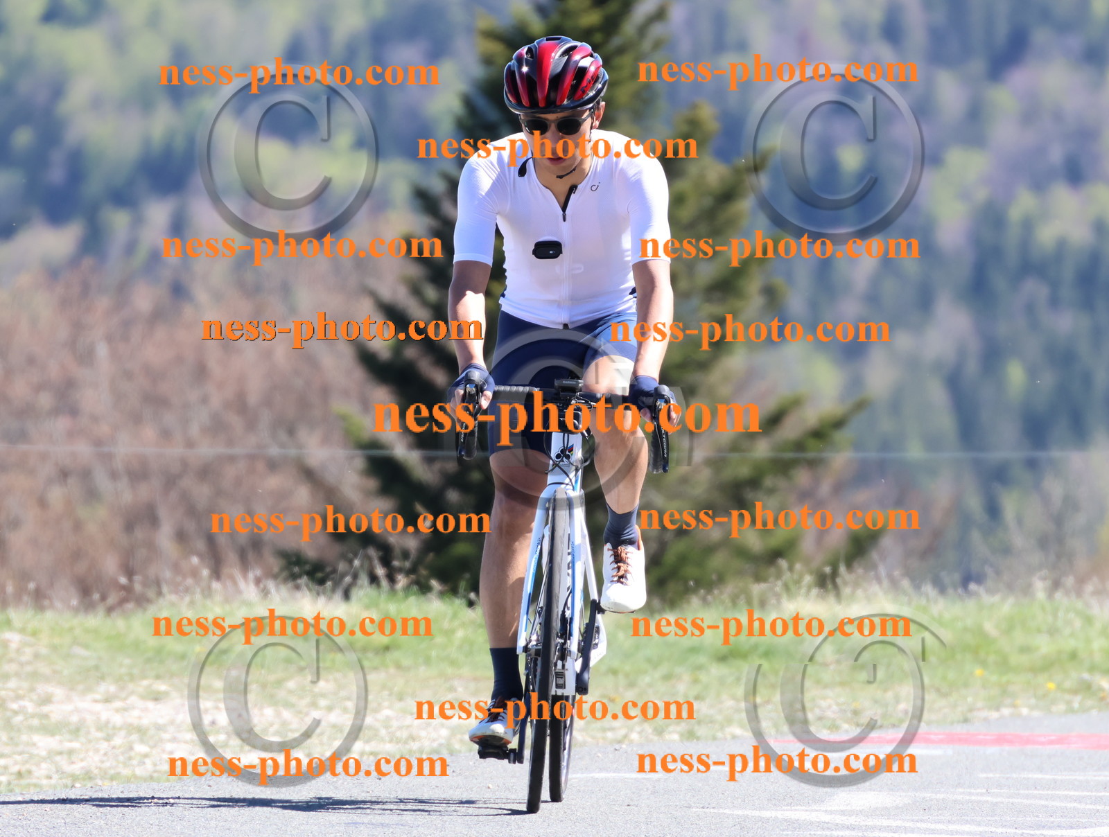 Col du Grand Colombier (1060).JPG