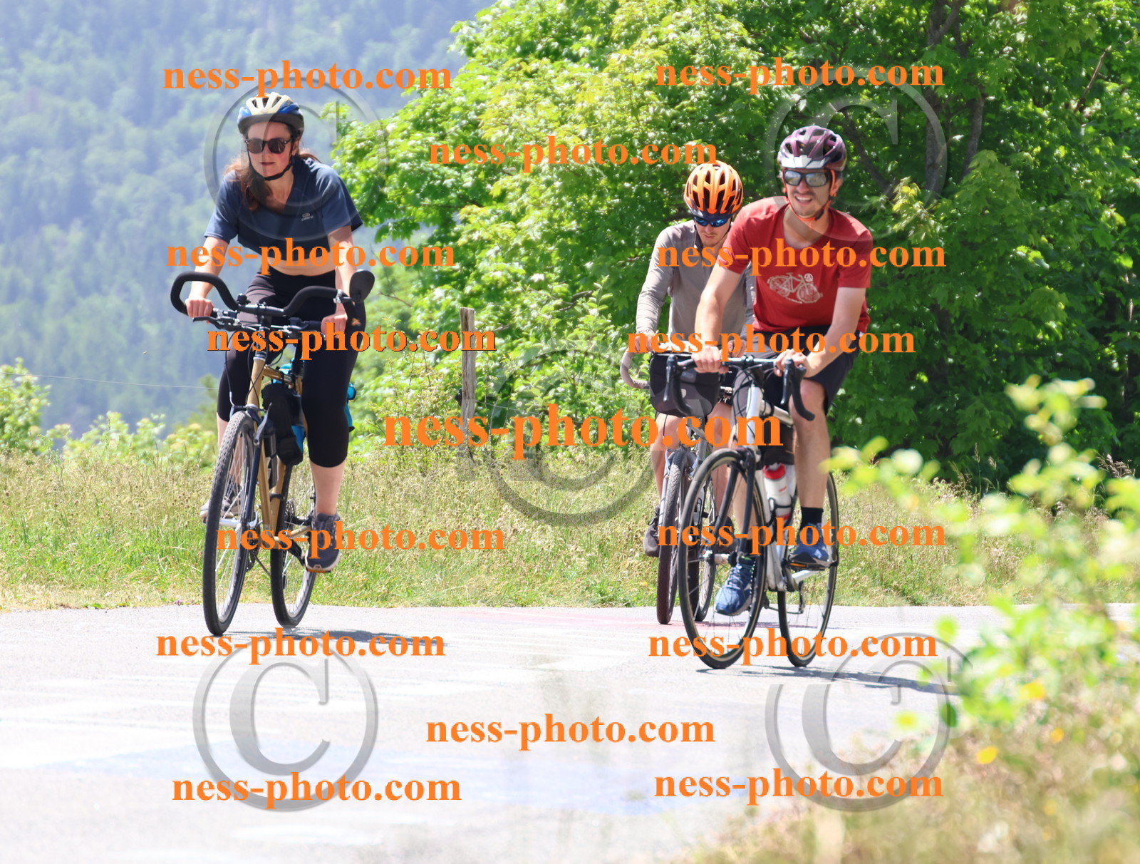 Col du grand Colombier (2618).JPG