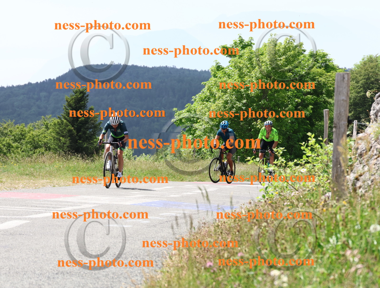 Col du grand Colombier (1842).JPG