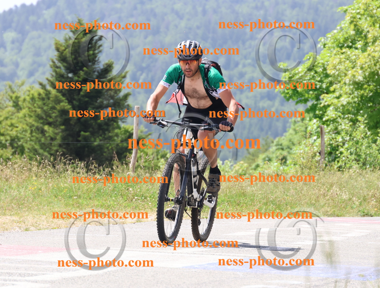 Col du grand Colombier (2039).JPG