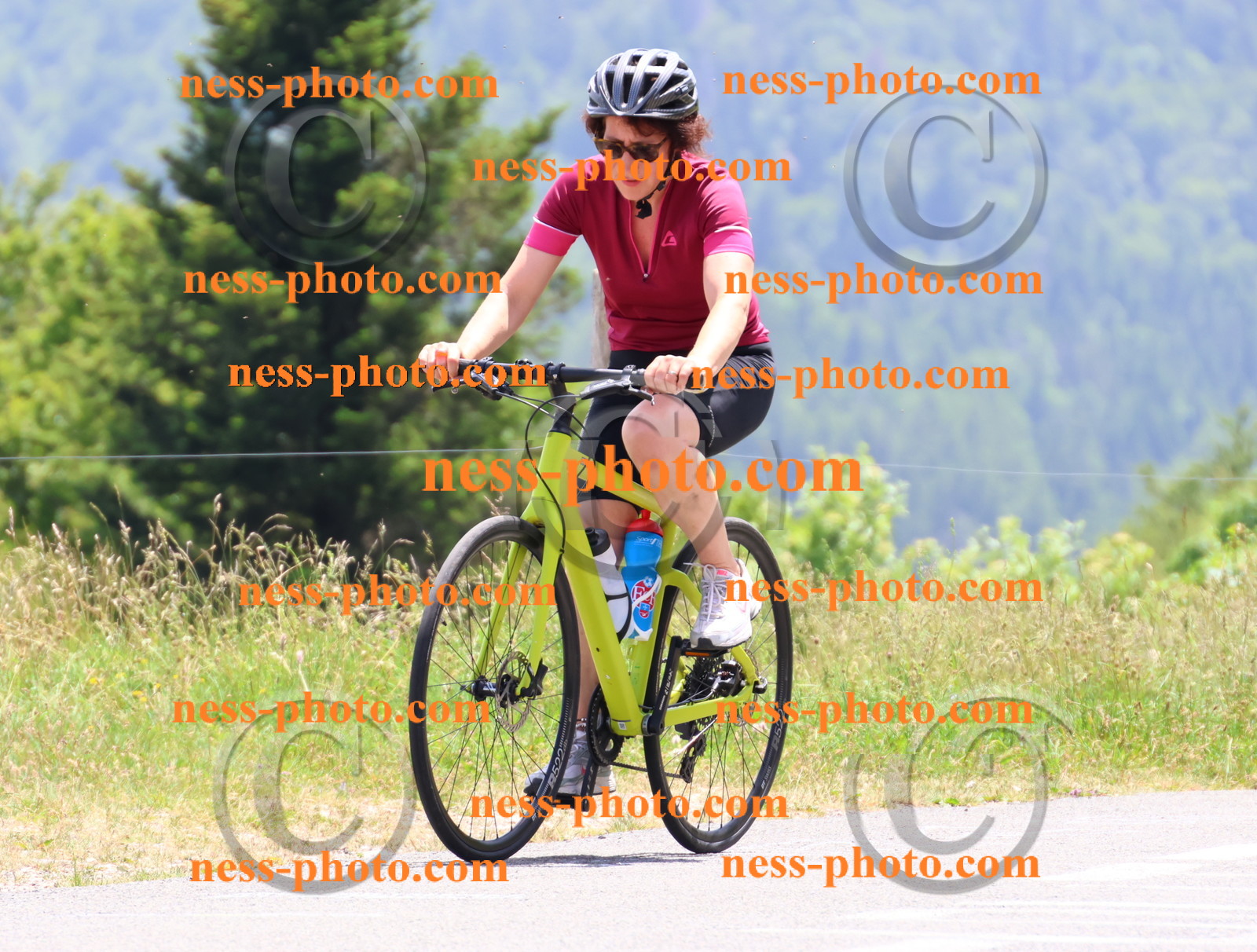 Col du grand Colombier (3124).JPG