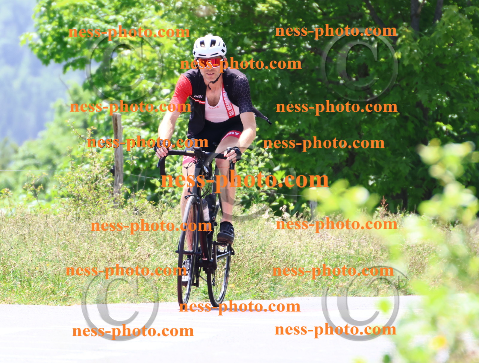 Col du grand Colombier (2810).JPG