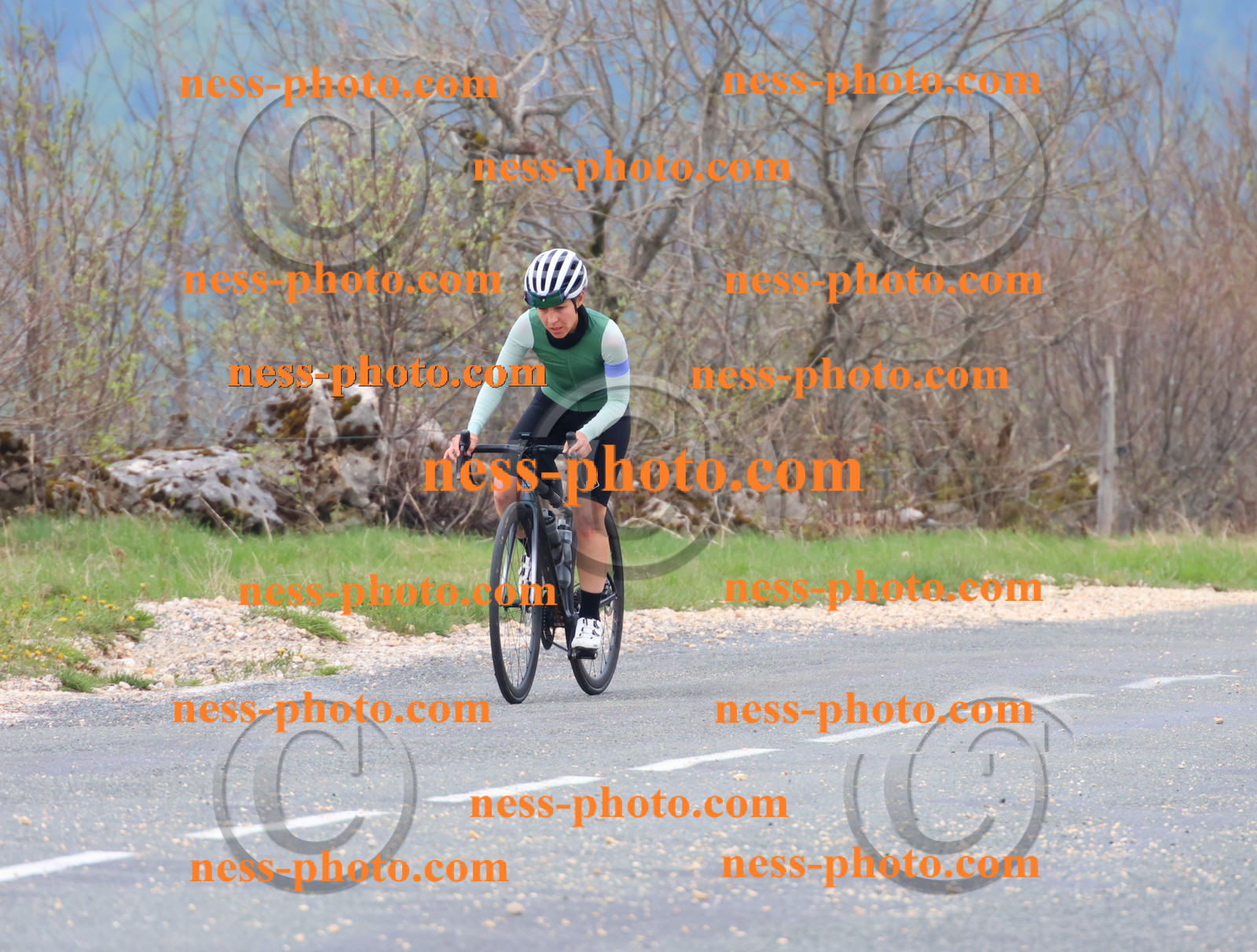 Col du Grand Colombier (265).JPG