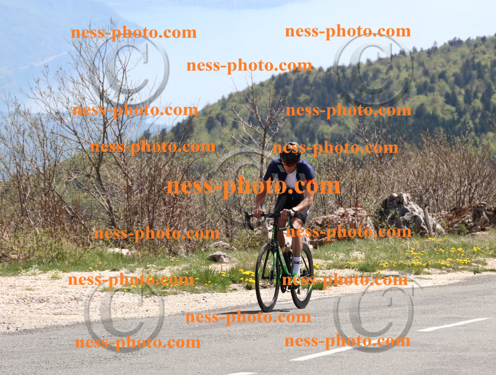 Col du Grand Colombier (812).JPG