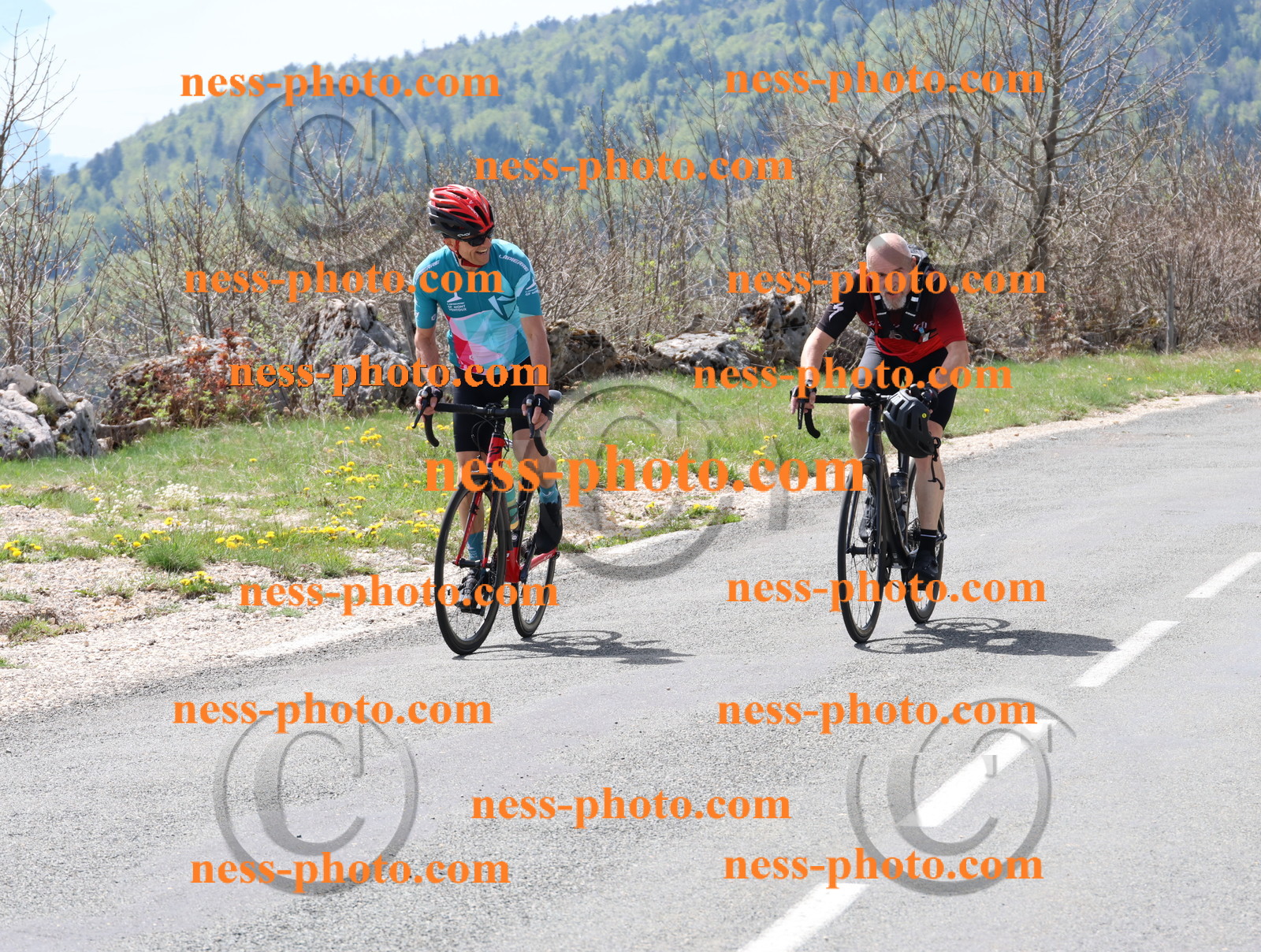 Col du Grand Colombier (23).JPG