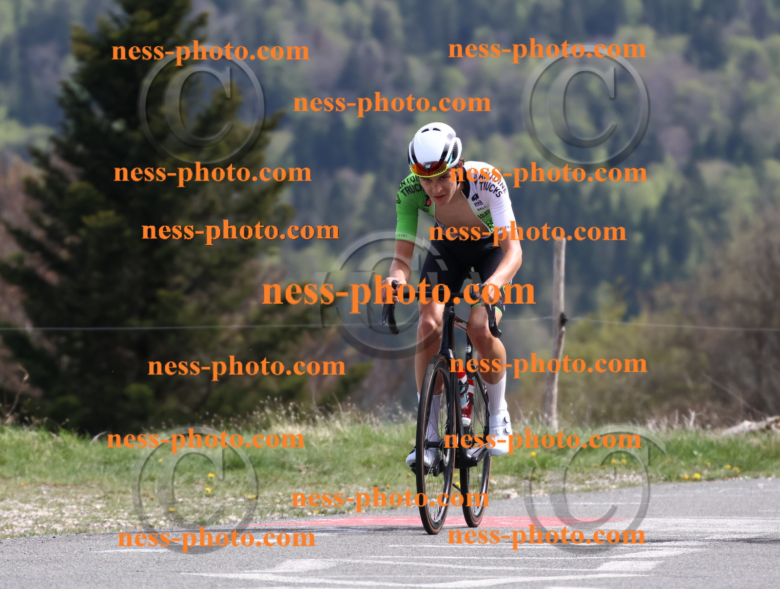 Col du Grand Colombier (1058).JPG