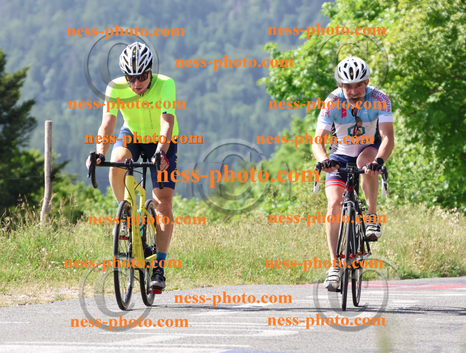 Col du grand Colombier (429).JPG