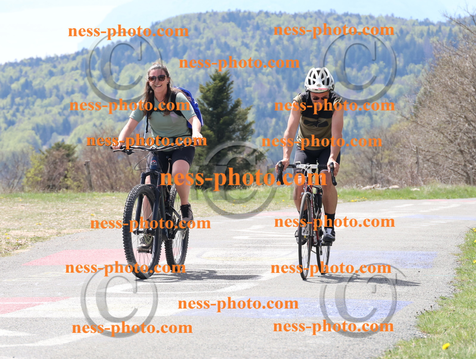 Col du Grand Colombier (74).JPG