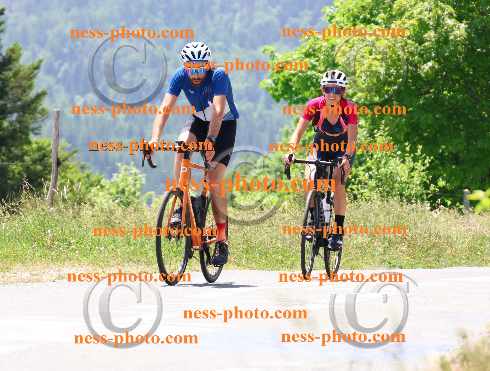 Col du grand Colombier (2792).JPG