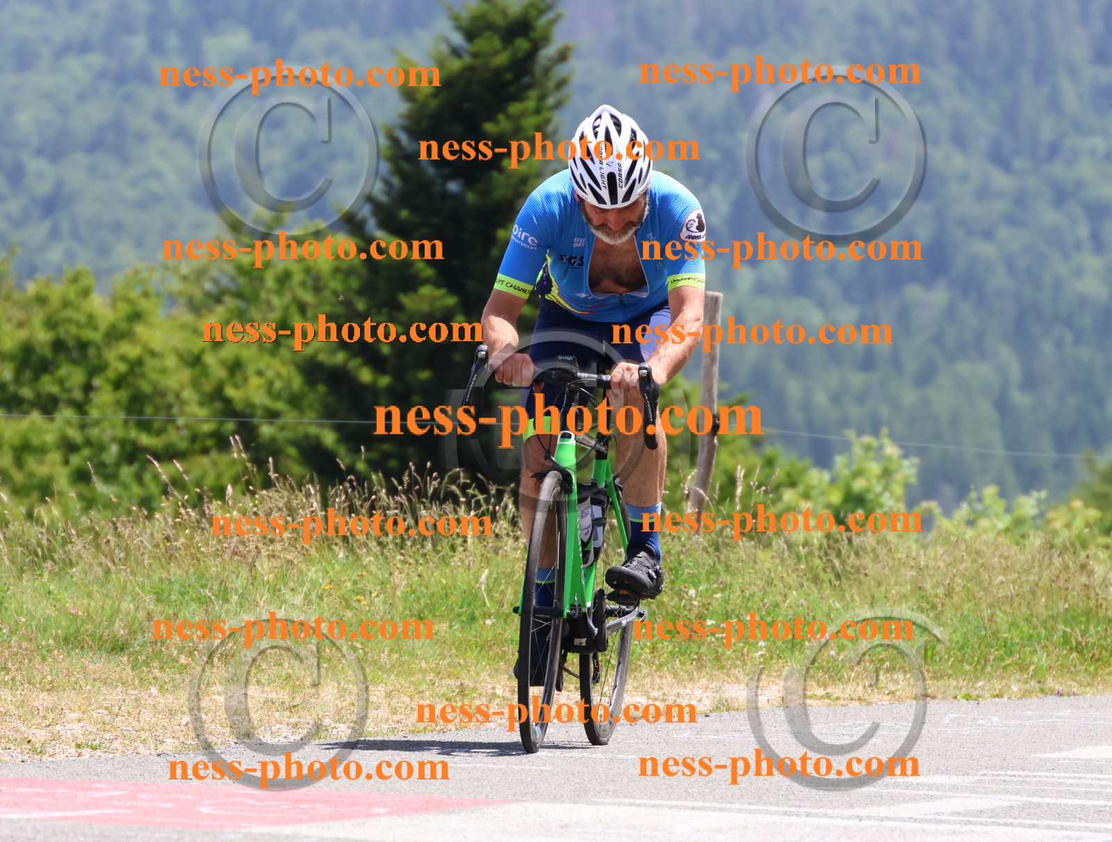 Col du grand Colombier (3215).JPG