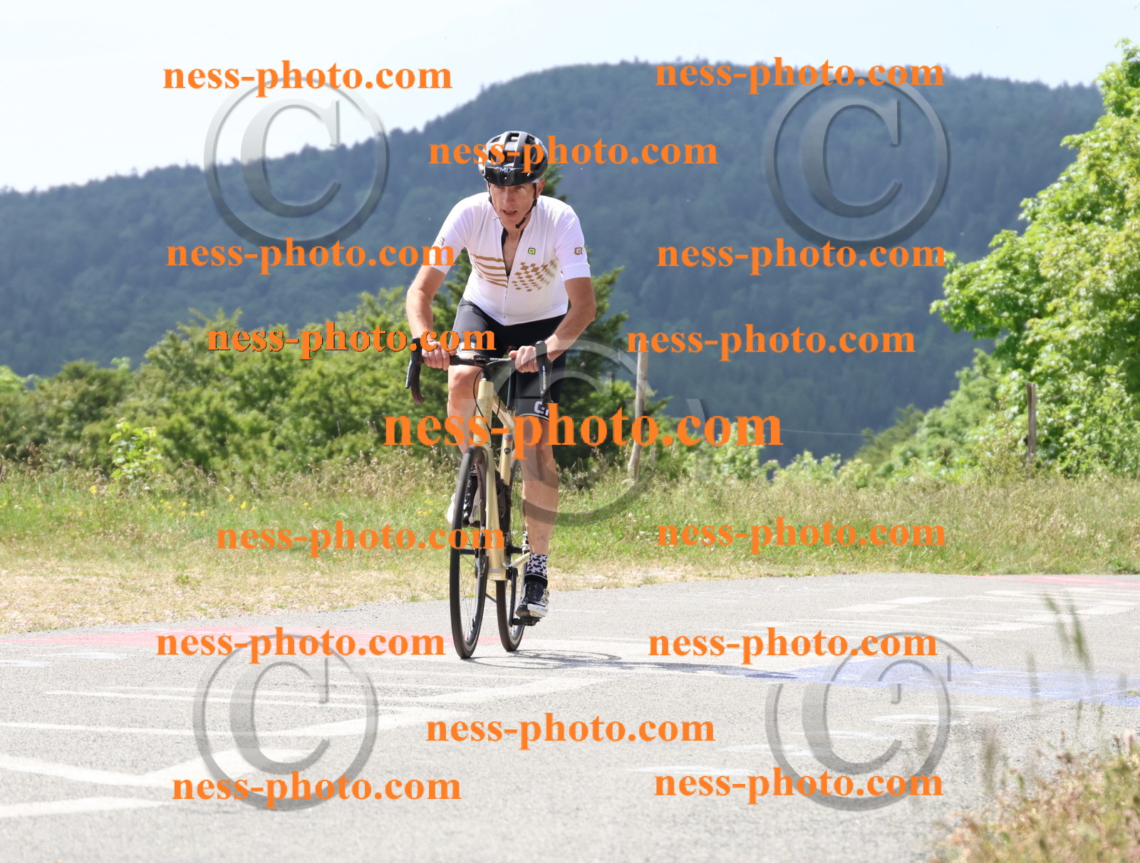 Col du grand Colombier (1834).JPG