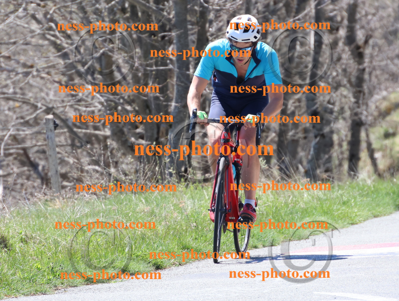 Col du Grand Colombier (317).JPG