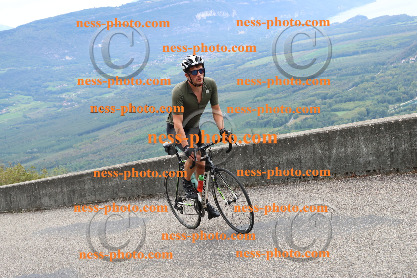 Col du Grand Colombier (2463).JPG