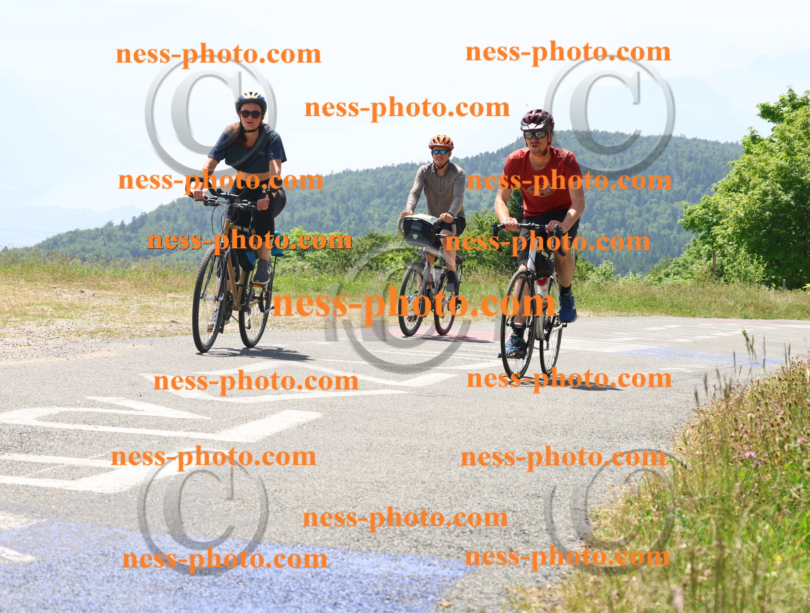 Col du grand Colombier (2623).JPG